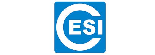 Китайский институт электронной стандартизации